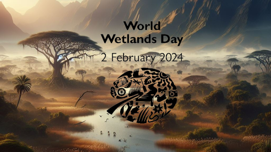 World Wetlands_PasSolutions